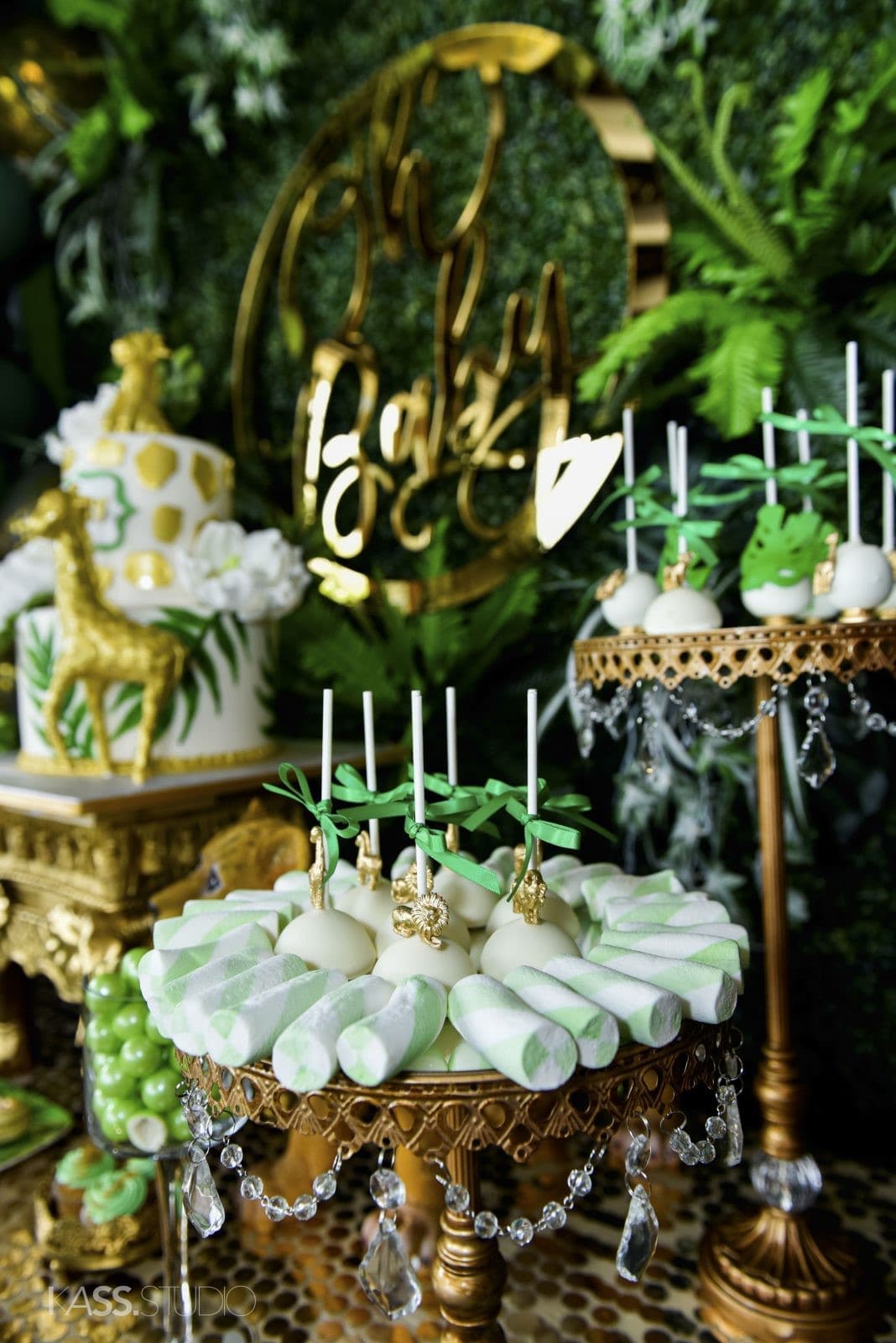 Anastasia’s Baby Shower — photo 5