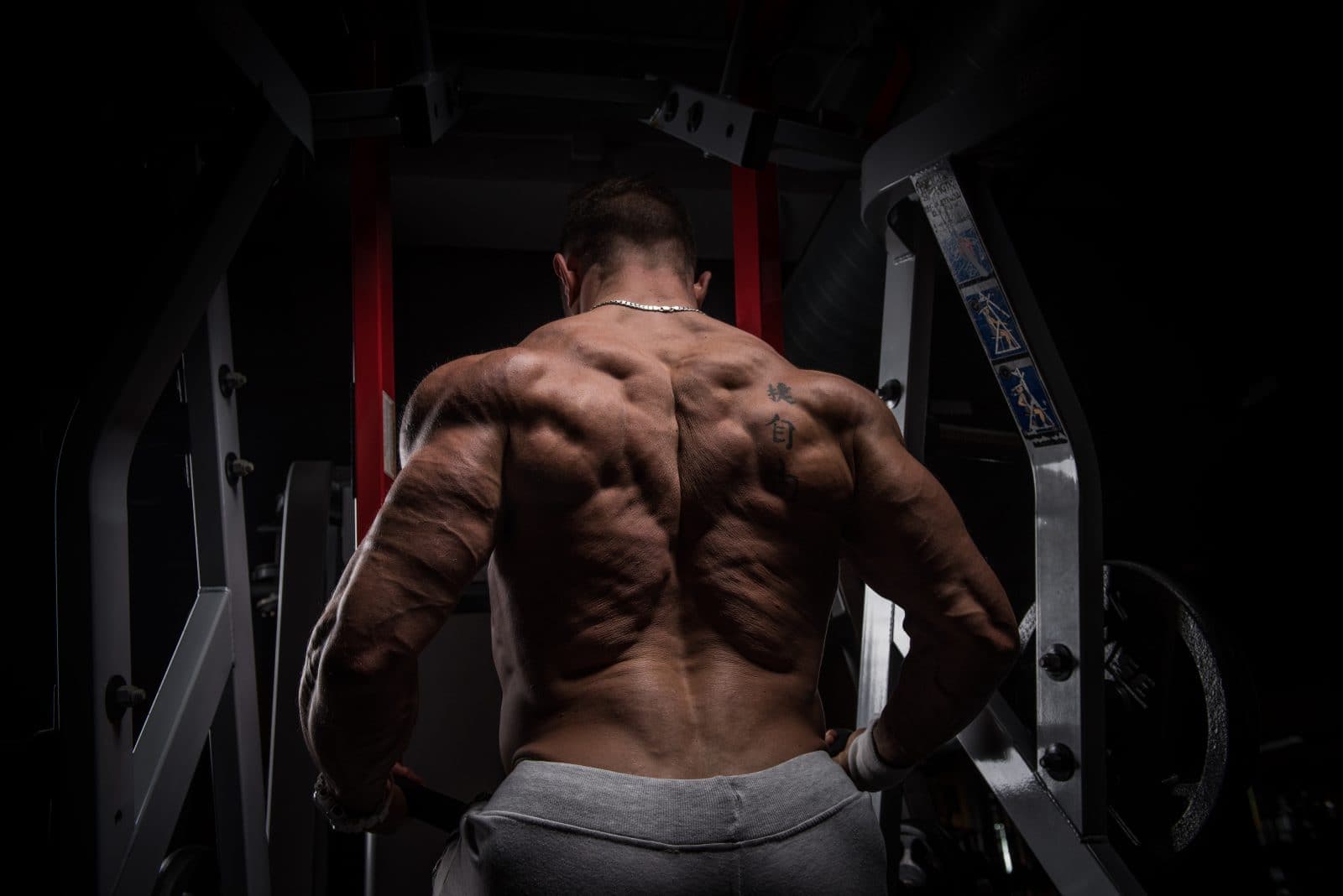 Bodybuilding series | Portfolio @ Vladimir Cartev — photo 1