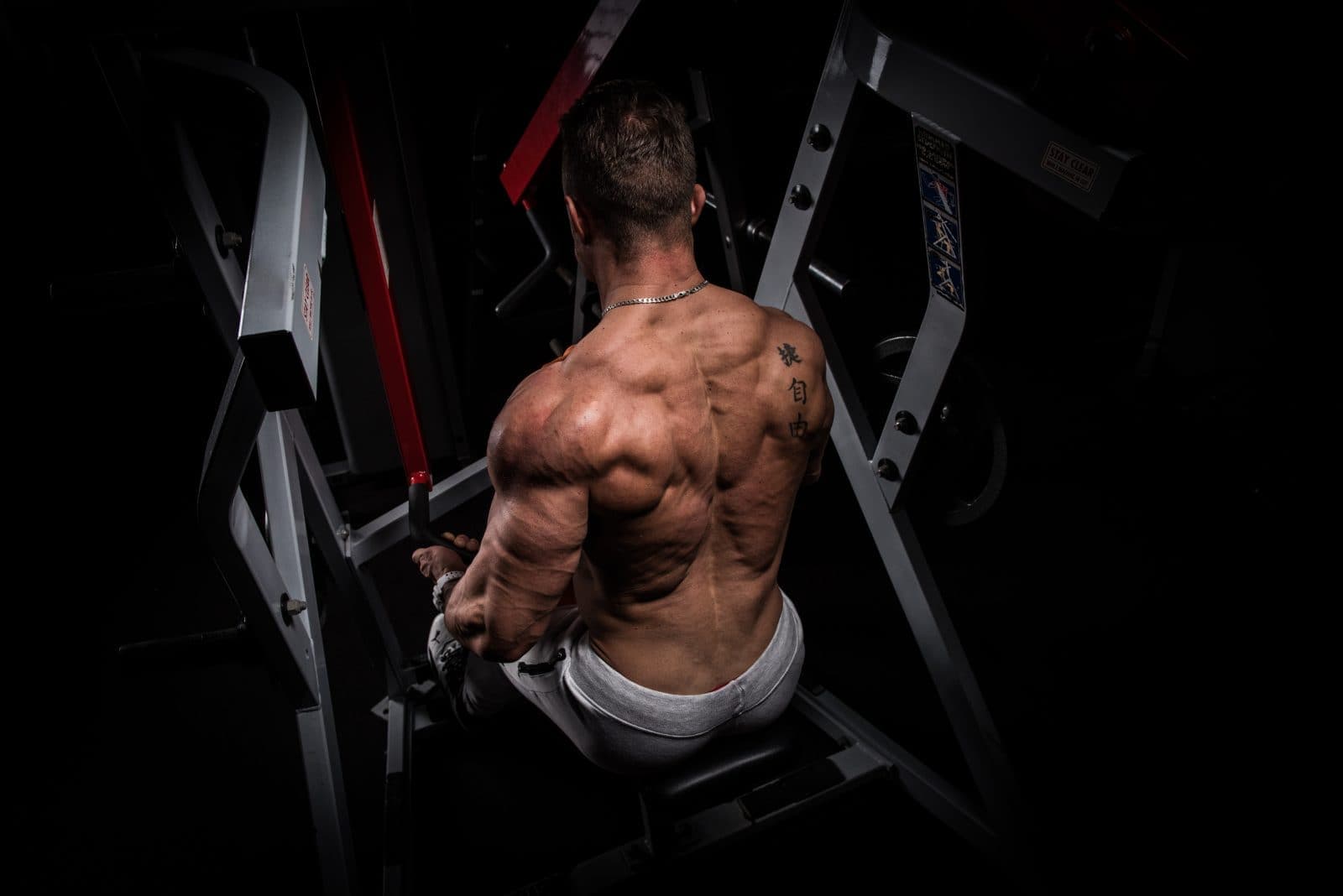 Bodybuilding series | Portfolio @ Vladimir Cartev — photo 2