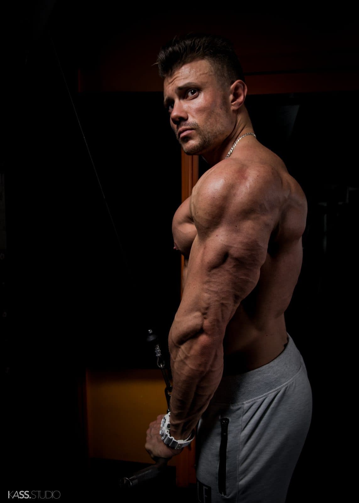 Bodybuilding series | Portfolio @ Vladimir Cartev — photo 8