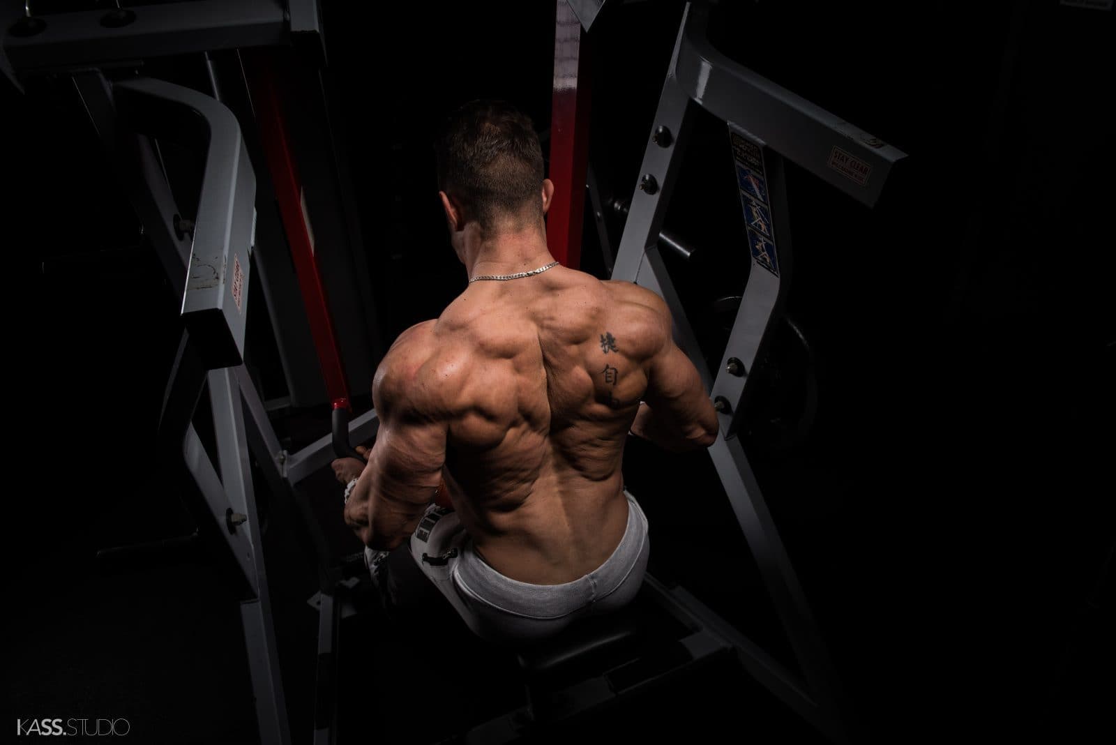 Bodybuilding series | Portfolio @ Vladimir Cartev — photo 10