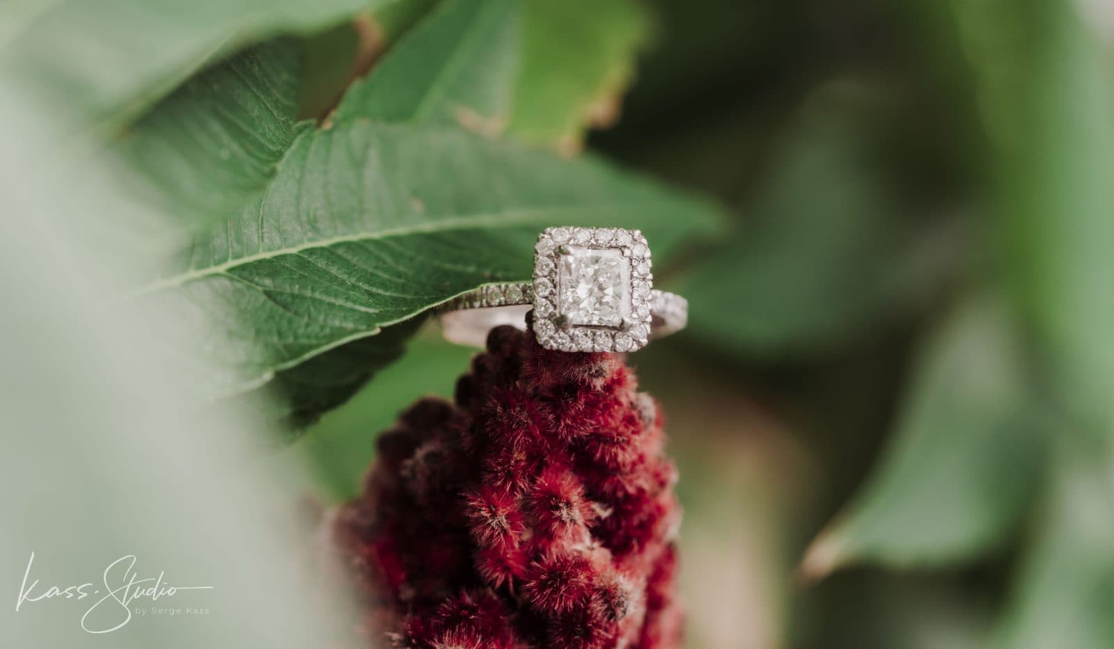 Brianna + Dmitriy | Engagement — photo 2
