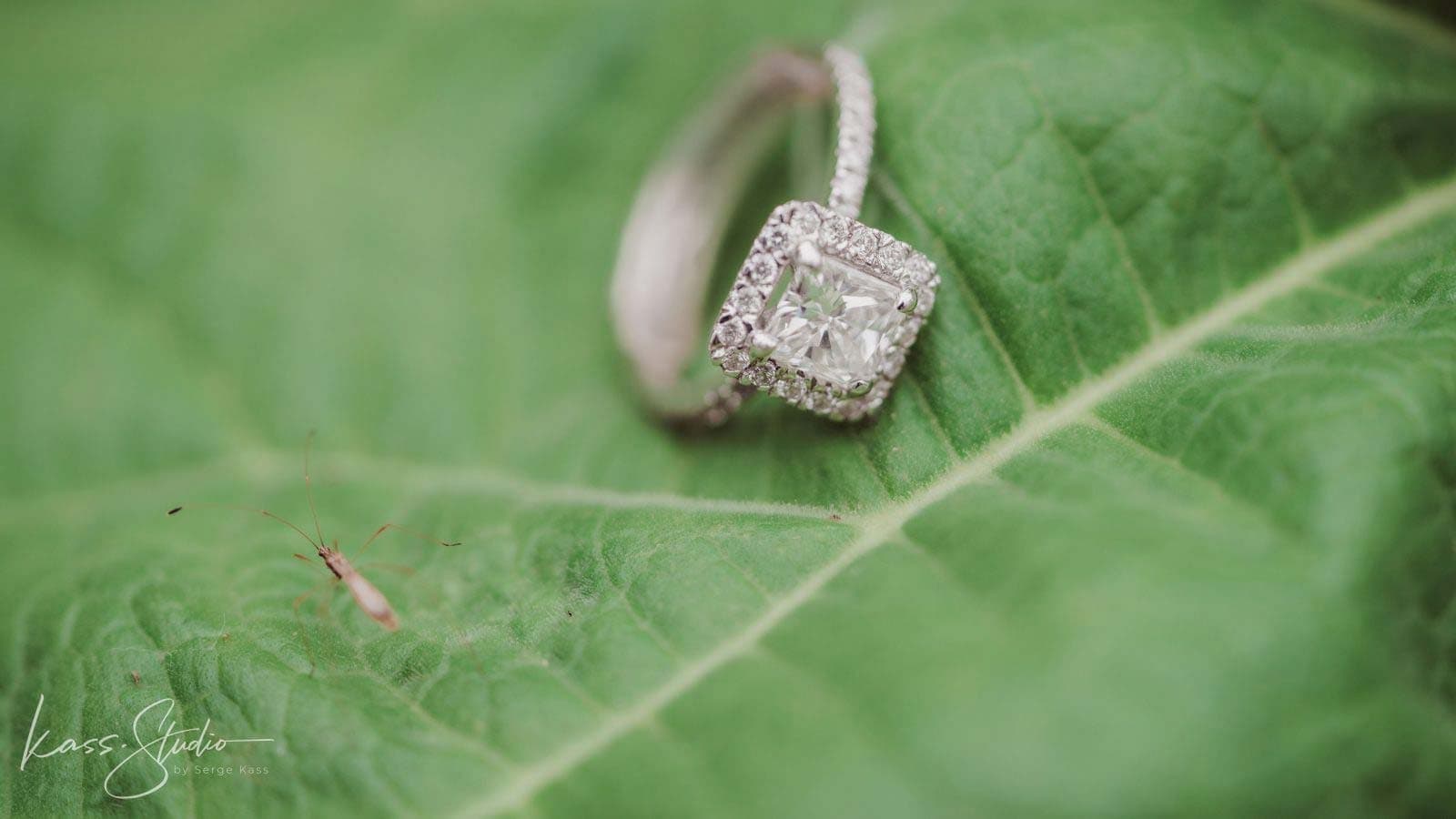 Brianna + Dmitriy | Engagement — photo 8