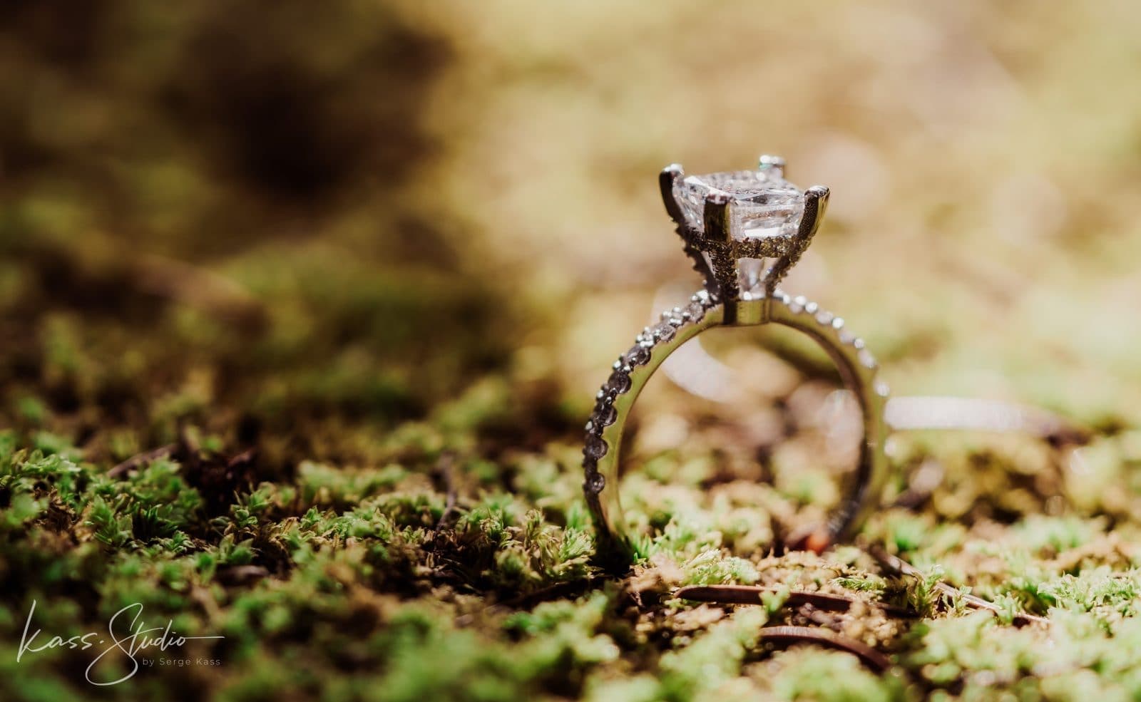 David + Kalli | Proposal — photo 2