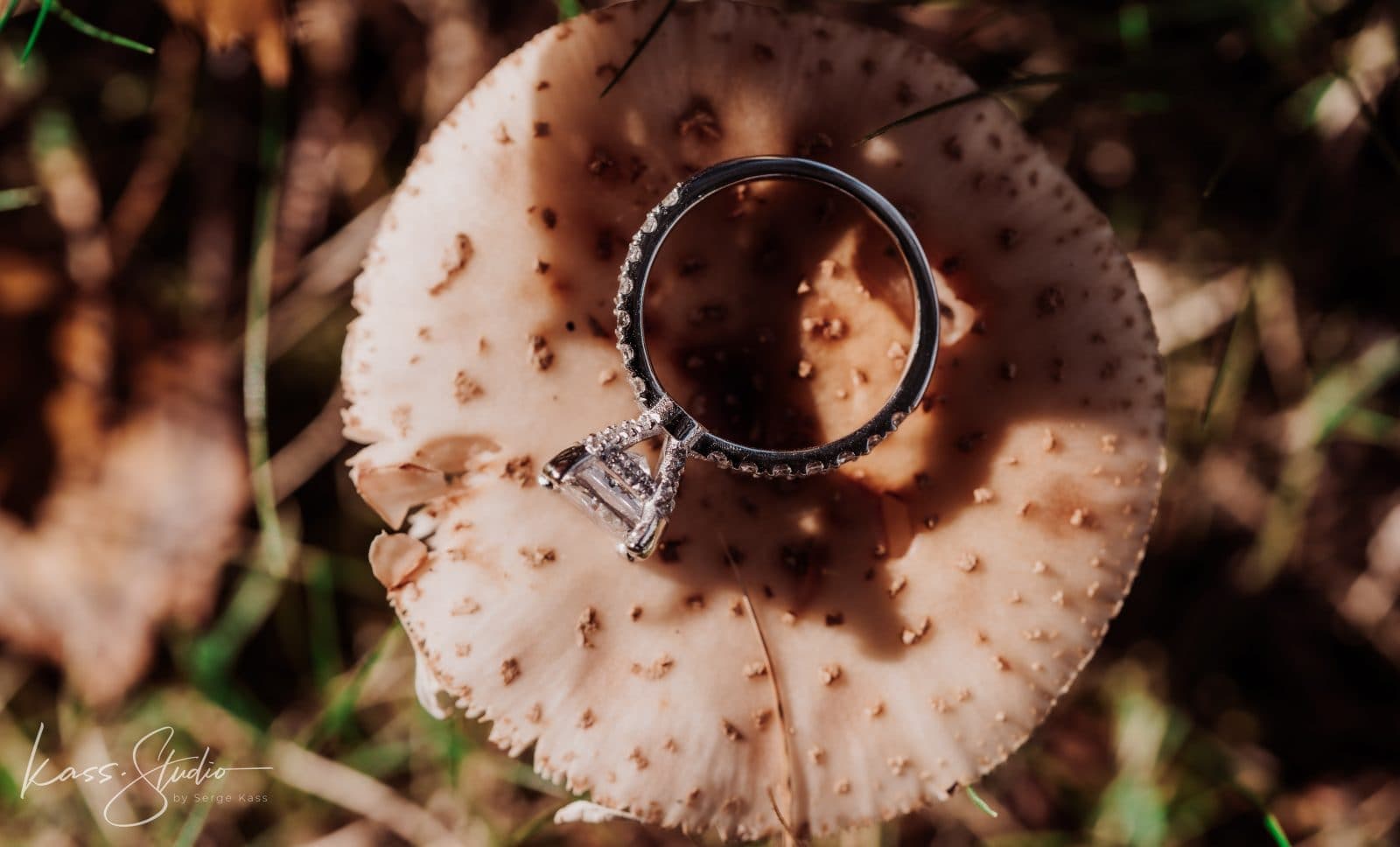 David + Kalli | Proposal — photo 5