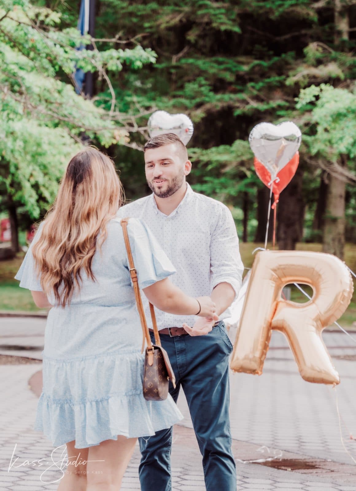 David + Kalli | Proposal — photo 7
