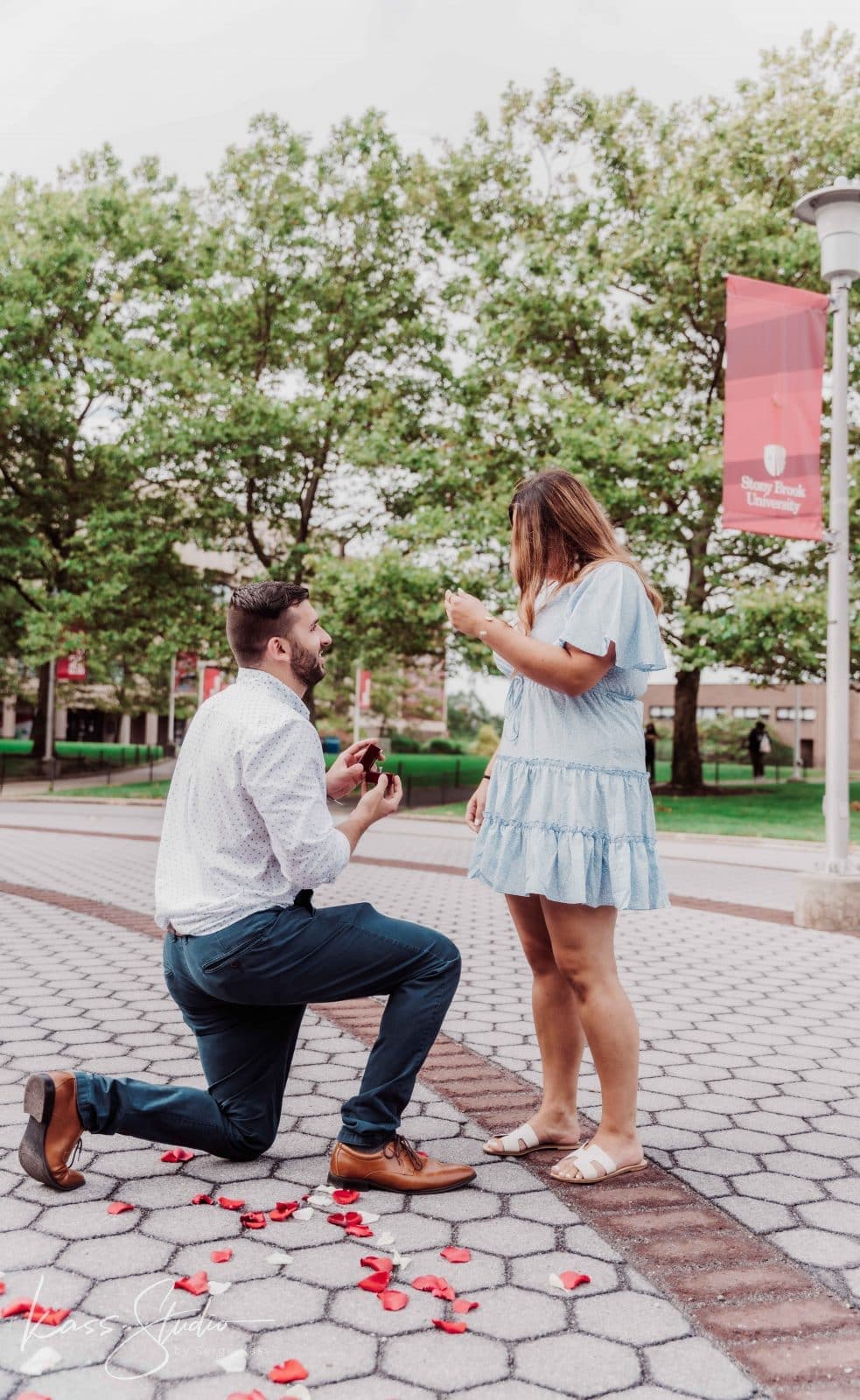 David + Kalli | Proposal — photo 11