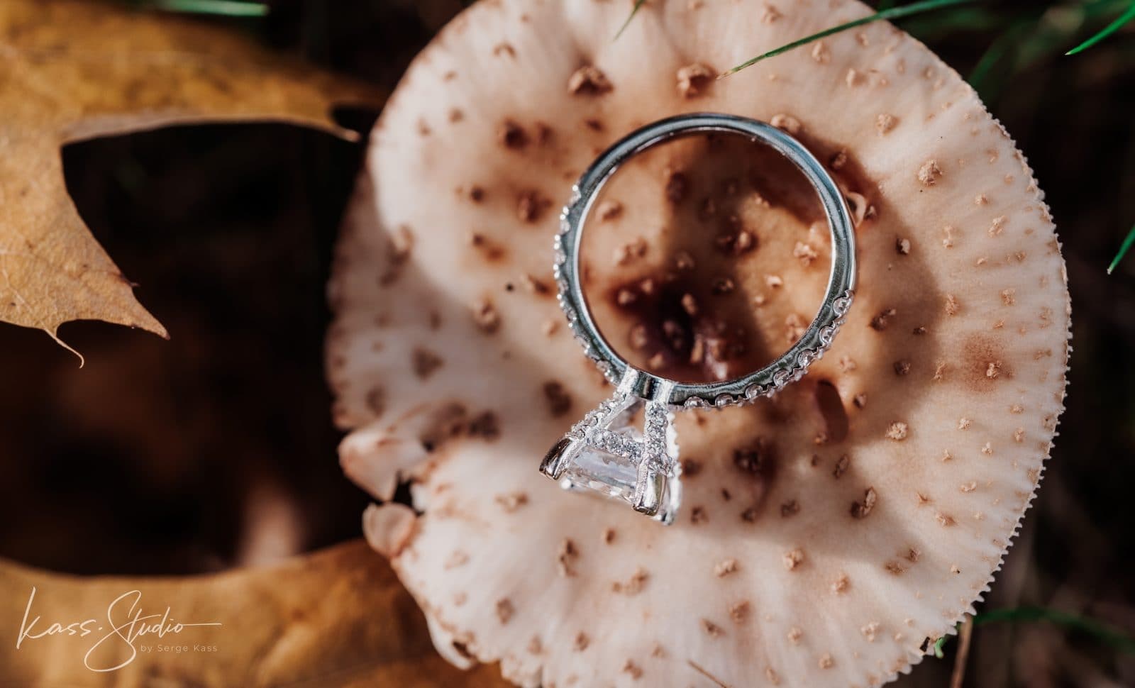 David + Kalli | Proposal — photo 20