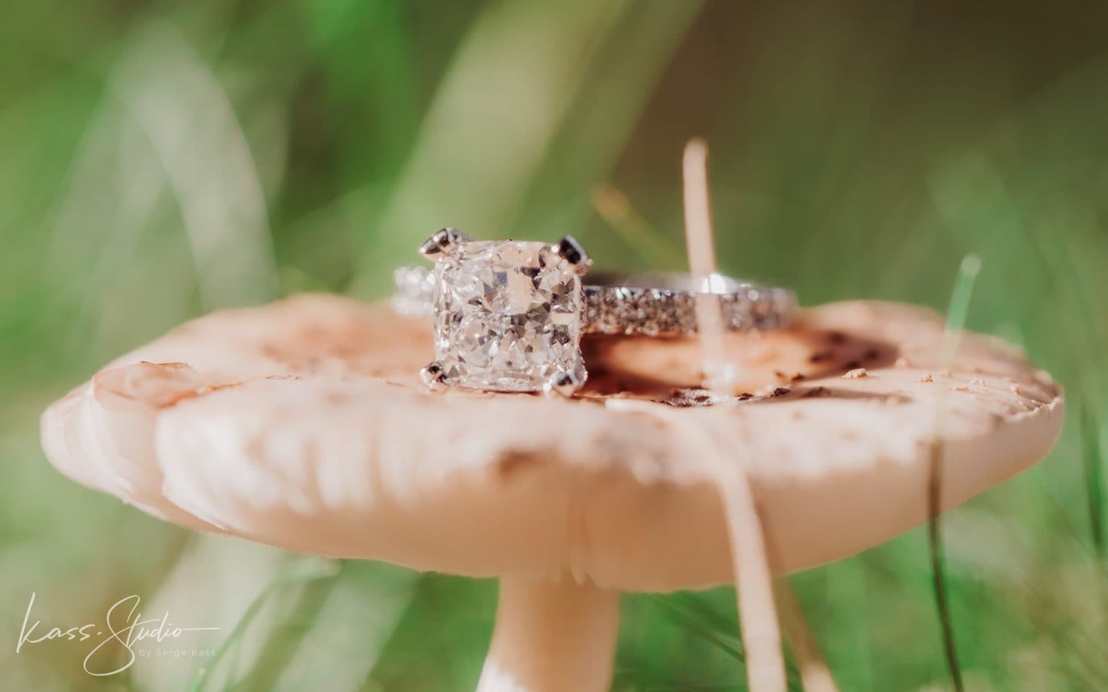 David + Kalli | Proposal — photo 25