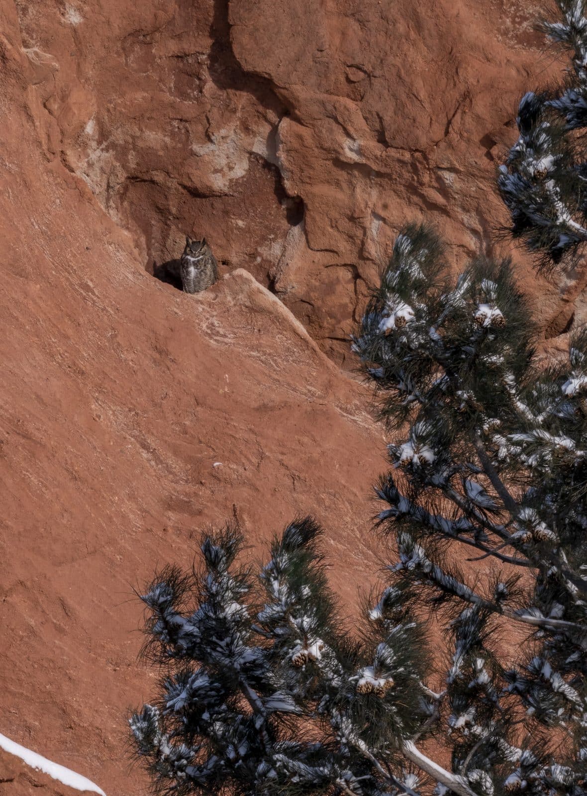 Donna + Tim | A Colorado Engagement Elopement — photo 9