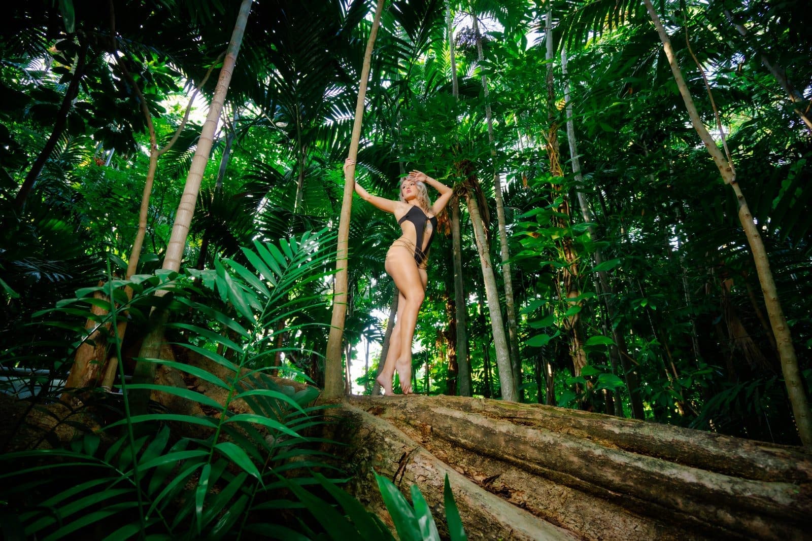 Jungle Up | MIAMI